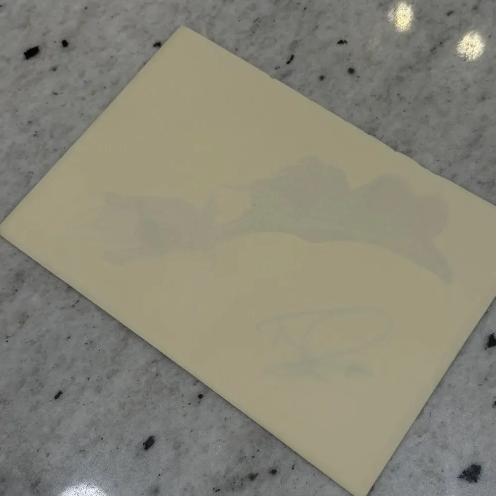 Terry Pratchett Discworld Errol Swamp Dragon Card Signed W/signed Envelope